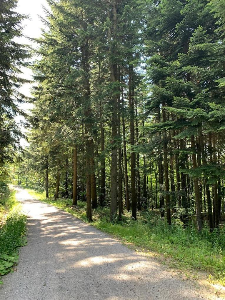 Marzeniec W Beskidzie Niskim Wapienne Экстерьер фото